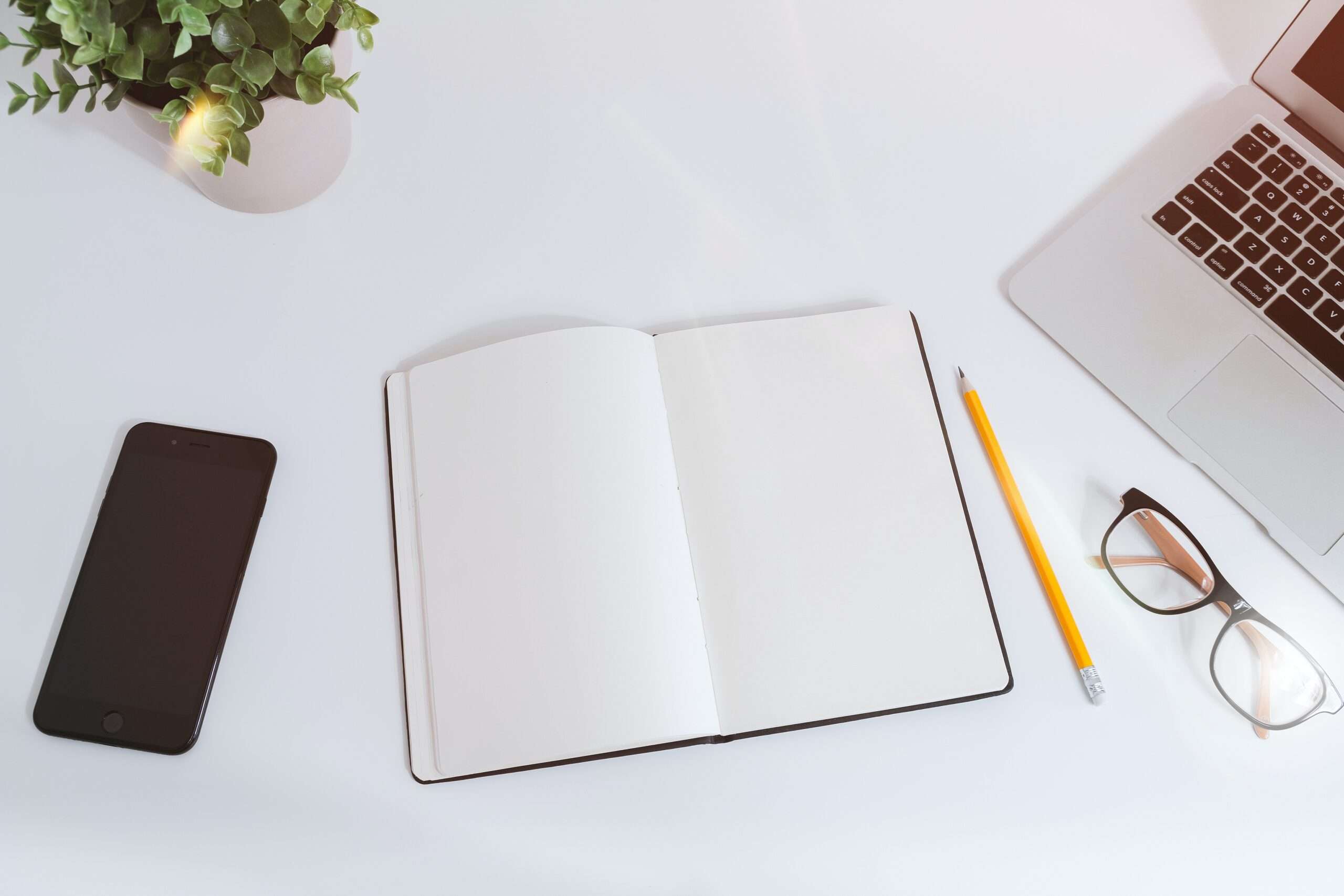 Web hosting For Small businesses